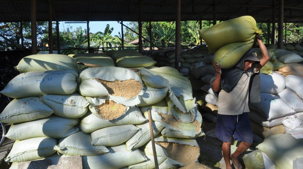 Former Government Shares Their Learning On The Myanmar Rice Sector and Seed Industry | LiftFund