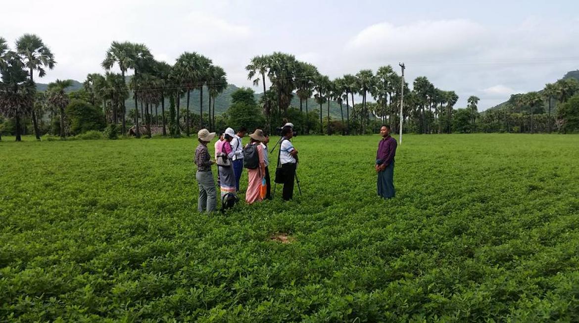 farmer interview in Myanmar's central dry zone