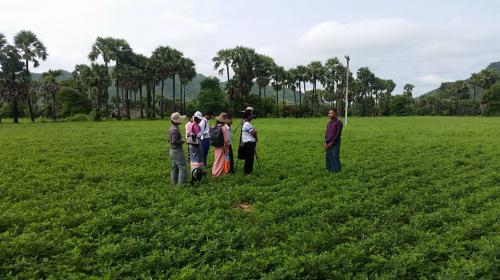 farmer interview in Myanmar's central dry zone