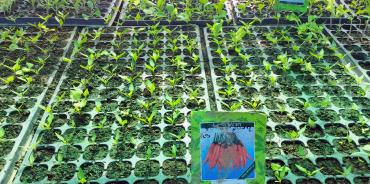 Photo credit: Mercy Corps