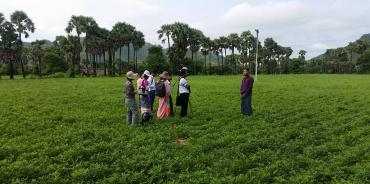 farmer interview in Myanmar's central dry zone