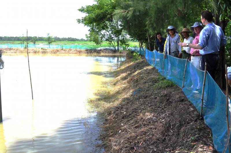 H.E Alistair Burt and team observing a nursery fish pond in Dedaye