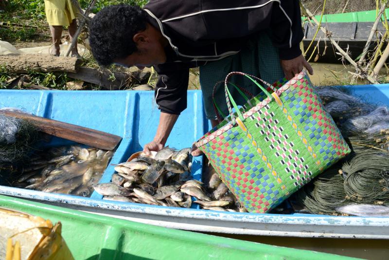 Fishing is the only income source for Than Min Aung and his family. 